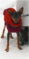 Elfi im Schnee